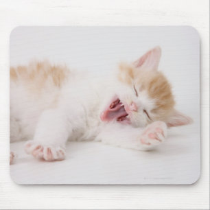 Yawning Kitten on White Background. Mouse Pad