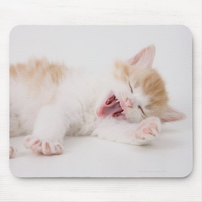 Yawning Kitten on White Background. Mouse Pad (Front)