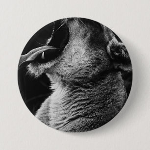 yawning lion 7.5 cm round badge