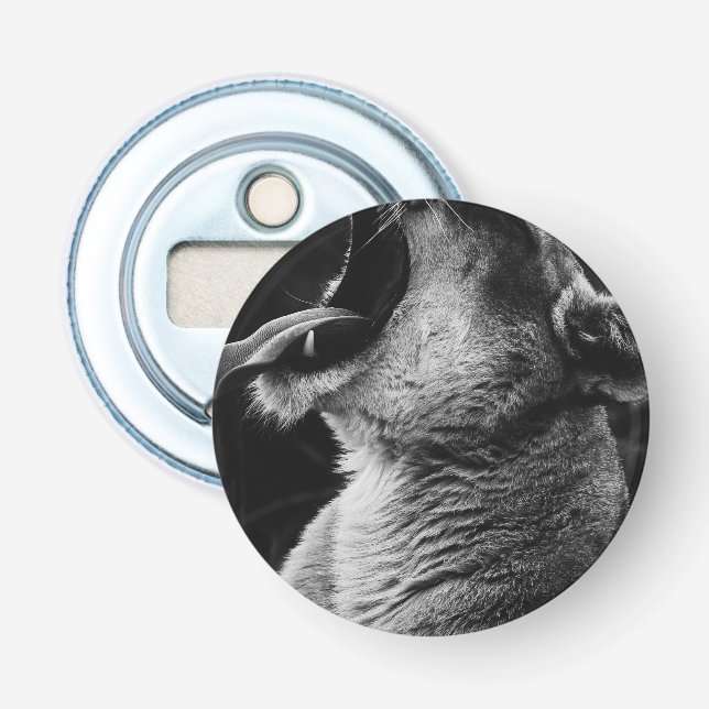 yawning lion bottle opener (Front)