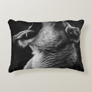 yawning lion decorative cushion