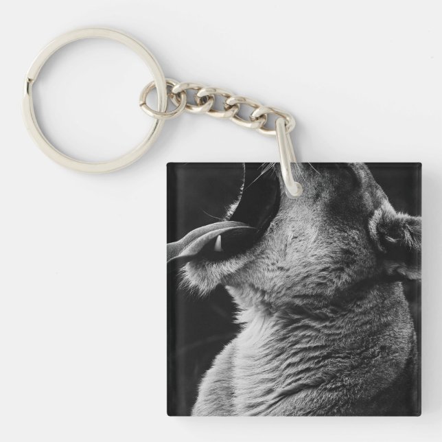 yawning lion key ring (Front)