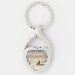 Yawning lion key ring