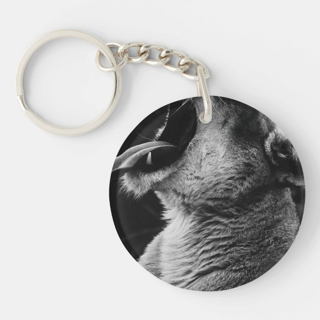 yawning lion key ring (Front)