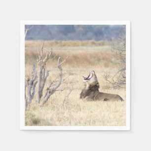 Yawning lion napkin