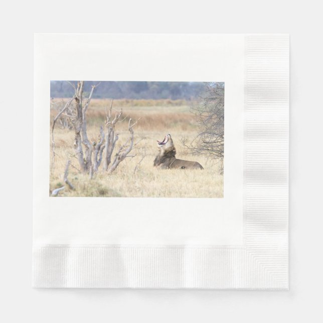 Yawning lion napkin (Front)