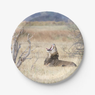 Yawning lion paper plate