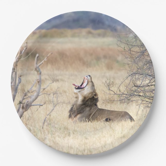 Yawning lion paper plate (Front)