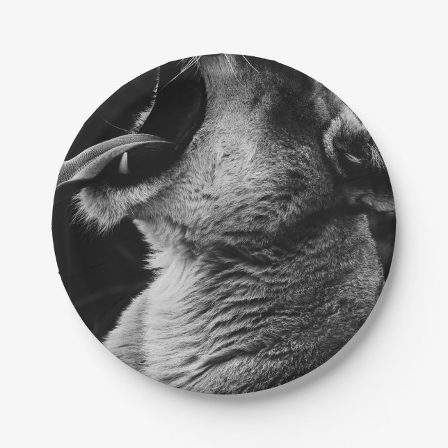 yawning lion paper plate (Front)