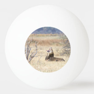 Yawning lion ping pong ball