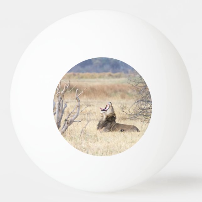 Yawning lion ping pong ball (Front)