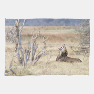 Yawning lion tea towel