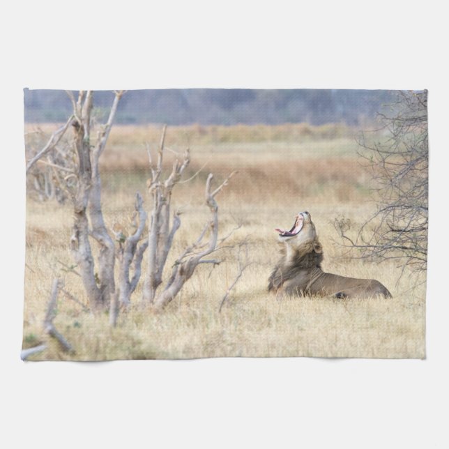 Yawning lion tea towel (Horizontal)