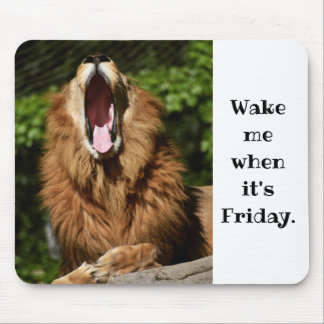 Yawning Lion- Wake me when its friday Mouse Pad