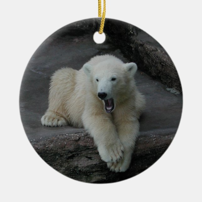 Yawning Polar bear cub Ceramic Tree Decoration (Front)