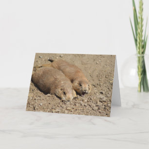 Yawning Prairie Dog Greeting Card