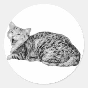 Yawning Tabby Cat Monochrome Sticker