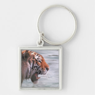 Yawning Tiger in Water Key Ring