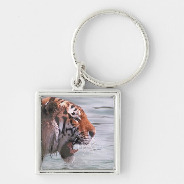 Yawning Tiger in Water Key Ring (Front)