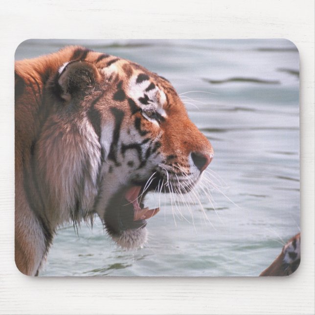 Yawning Tiger in Water Mouse Pad (Front)
