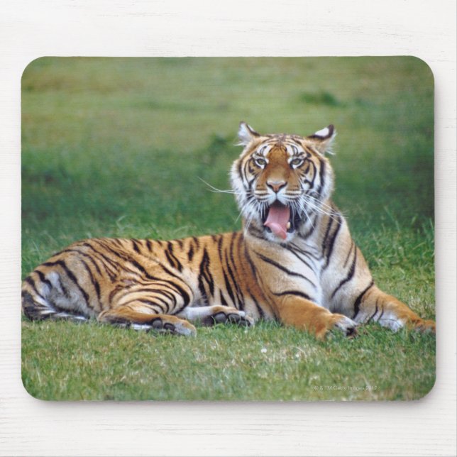 Yawning Tiger Mouse Pad (Front)