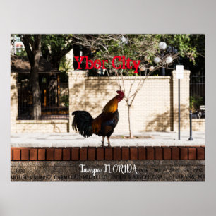 Ybor City, Tampa FLORIDA   Poster