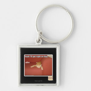 Yeah I'll get right on that. Key Ring