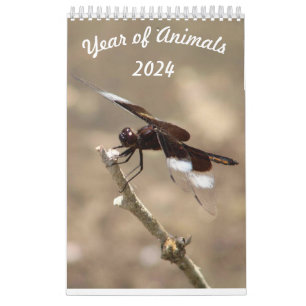 Year of Animals Calendar