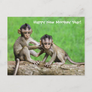 Year Of The Fire Monkey Postcard