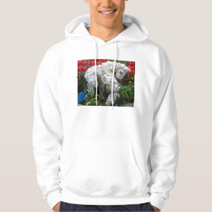 Year of the Horse   春節馬 ... Chinese Flower Topiary Hoodie