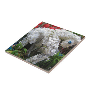 Year of the Horse   春節馬 ... Chinese Flower Topiary Tile