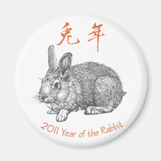 Year of the Rabbit _Magnet Magnet
