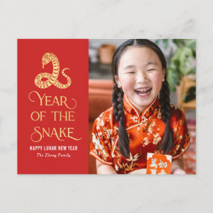 Year Of The Snake Chinese New Year Postcard