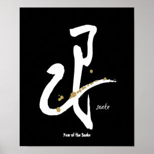 Year of the Snake - Chinese Zodiac Poster