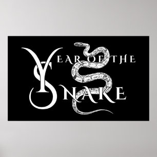 Year of the snake poster