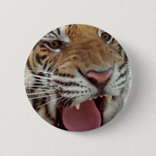 Year of the Tiger Round Pin