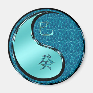 Year of the Water Snake Magnet