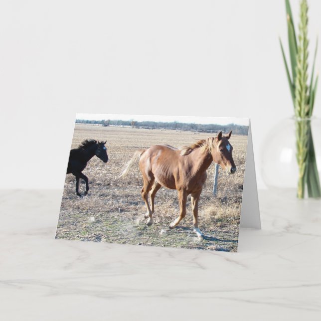 Yearlings Card (Front)