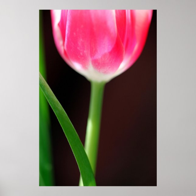 Yearning Poster (Front)