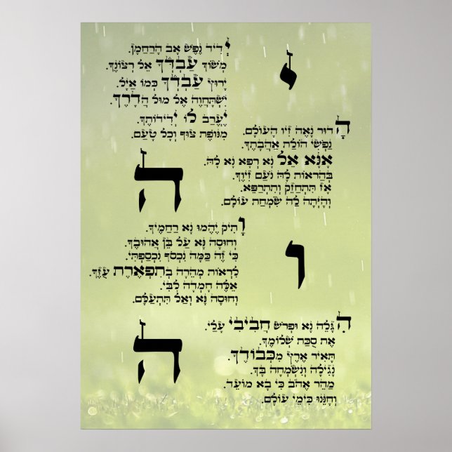 Yedid Nefesh Poster (Front)