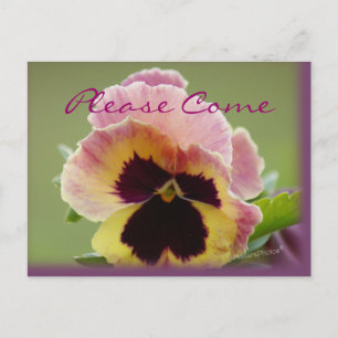 yel&pk Pansy Invitation- customise any occasion Invitation Postcard