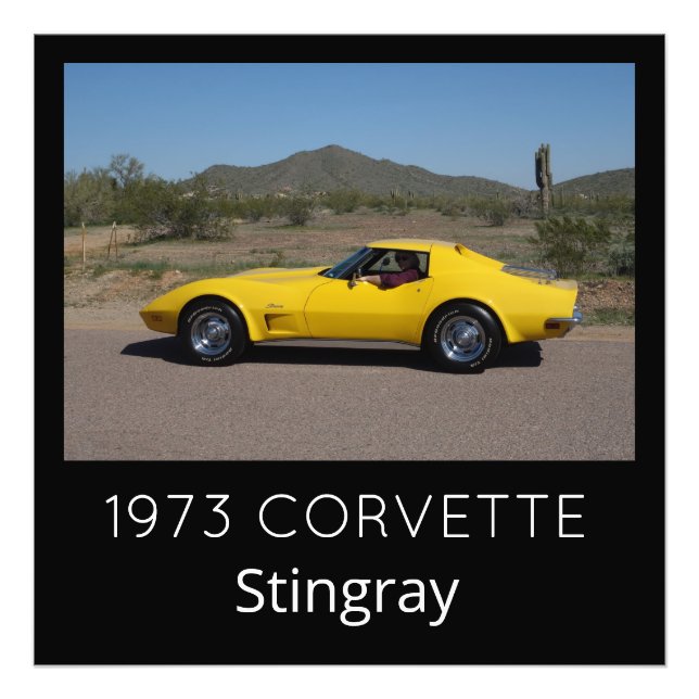 Yellow 1973 Corvette Stingray Photo Print (Front)