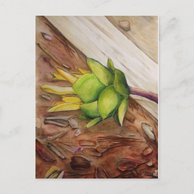 "Yellow 1" Postcard (Front)