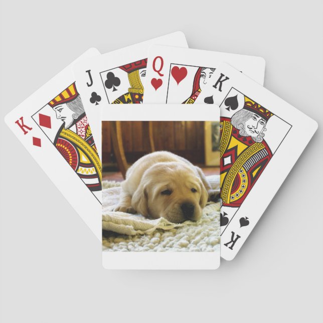 yellow 2 lab puppy playing cards (Back)
