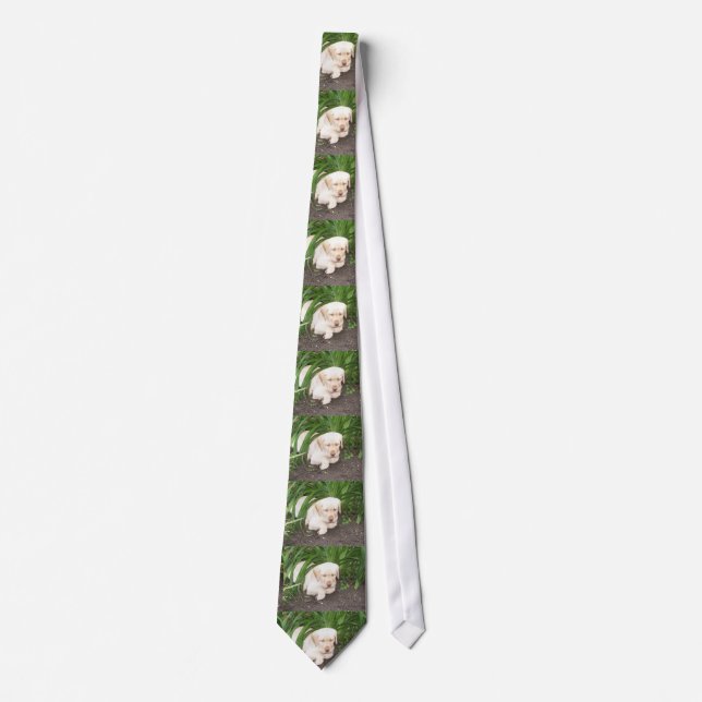 yellow 3 lab laying tie (Front)
