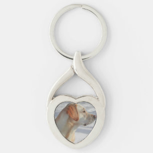 yellow 4 lab key ring
