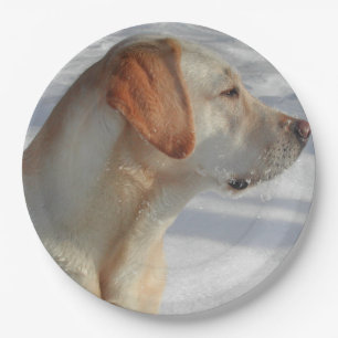 yellow 4 lab paper plate