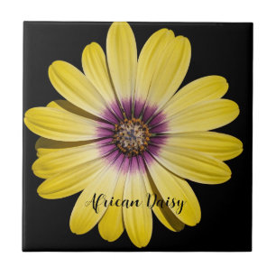 Yellow African Daisy on Black Floral Ceramic Tile