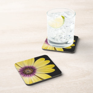 Yellow African Daisy on Black Floral Coaster