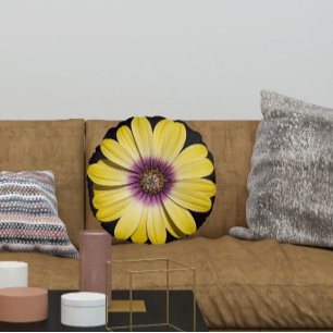 Yellow African Daisy on Black Floral Round Cushion